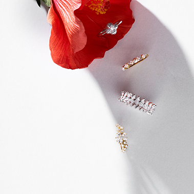 Zubehor, Diamant, Schmuck, Ohrring, Blume