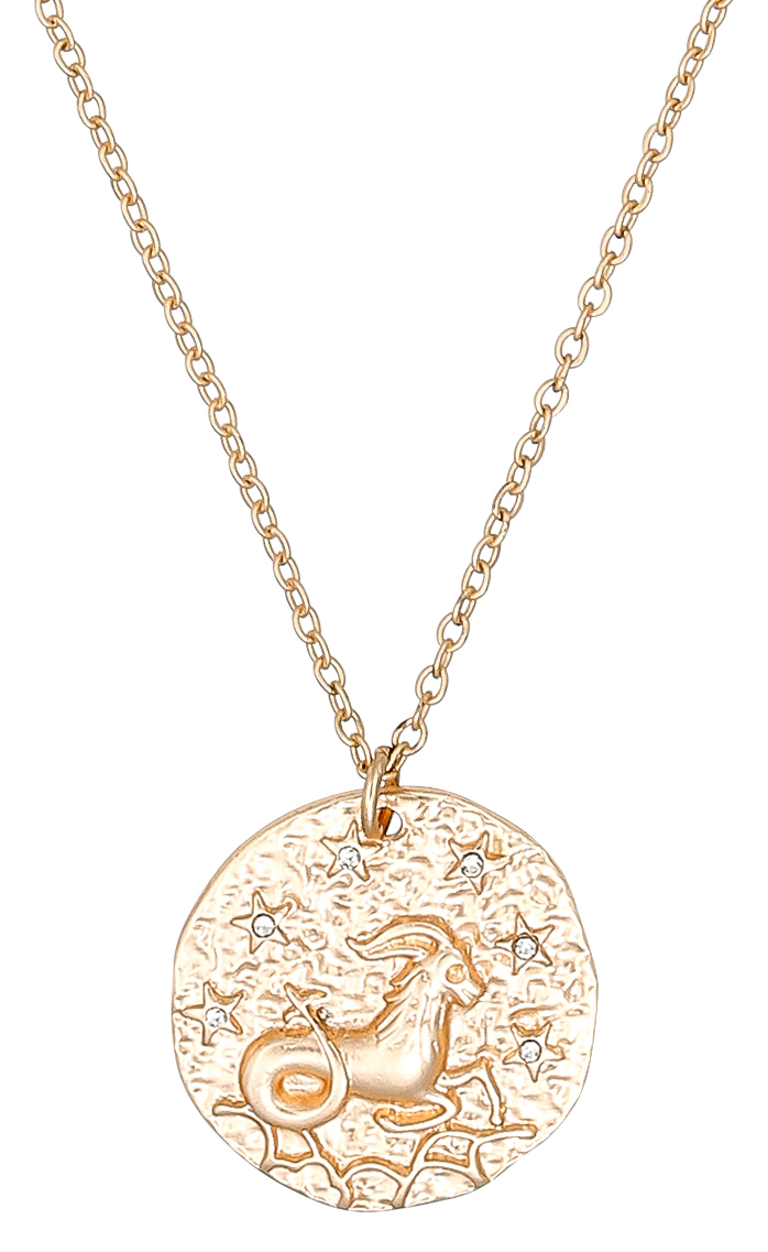 Ketting - Shiny Capricorn Ketting - Shiny Capricorn