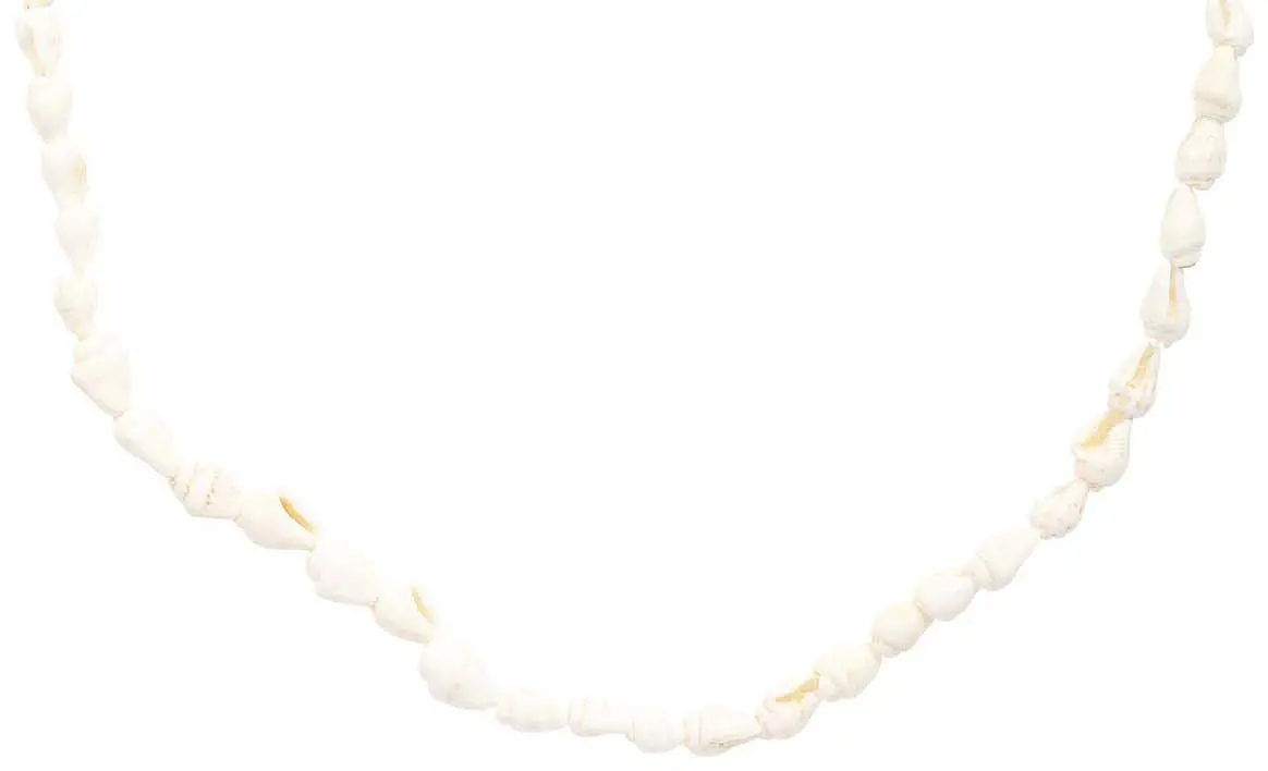 Collier - Real Shells
