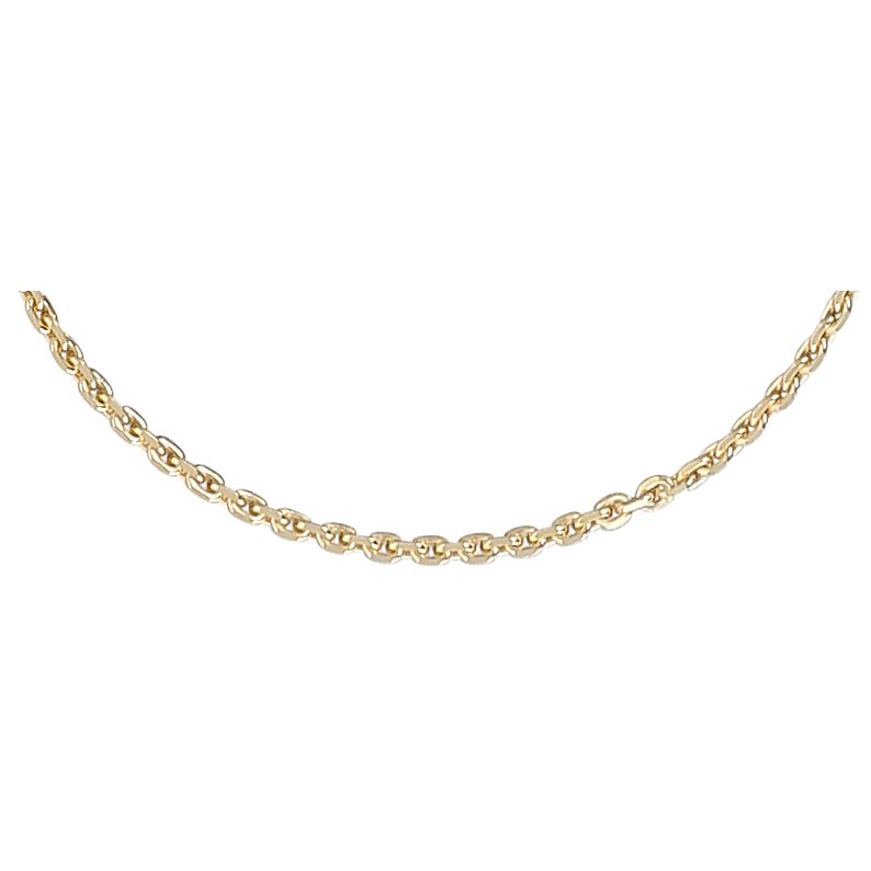 	Collar - Gold Chain	