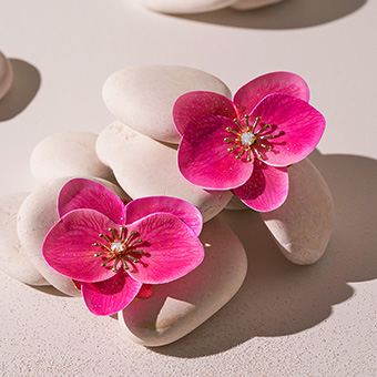 Blume, Orchidee, Pink, Steine, Dekor, pink flowers, orchid, flower arrangement, decorative stones, pink bloom
