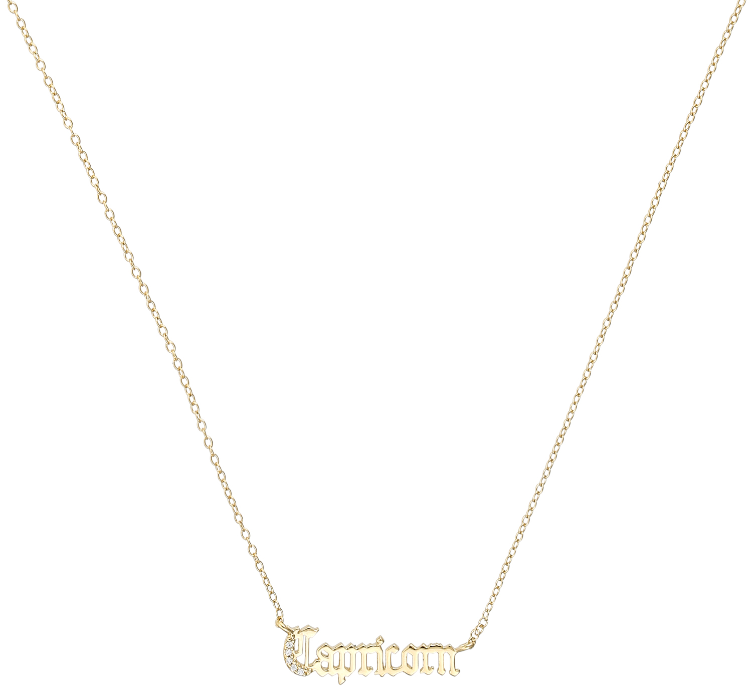 Ketting - Golden Capricorn