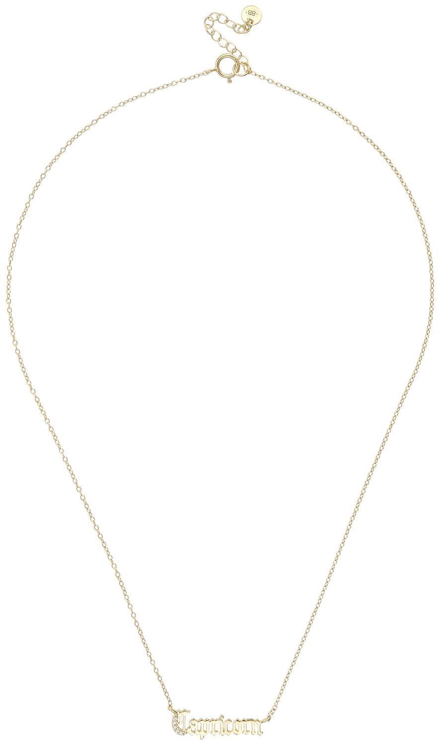 Ketting - Golden Capricorn