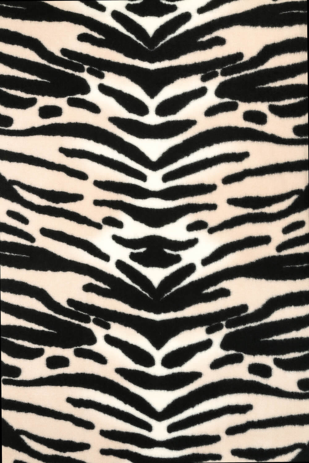 Sciarpa - Cool Zebra