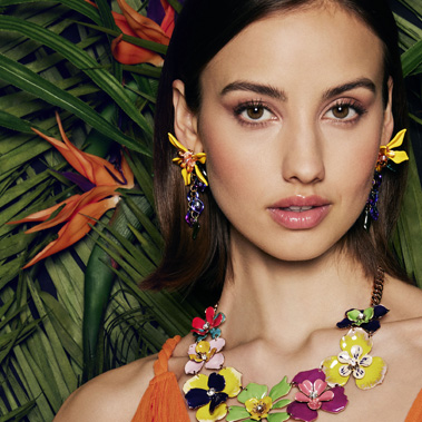 Discover the Tropics