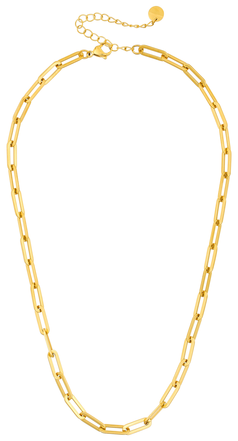 Collar - Golden Steel