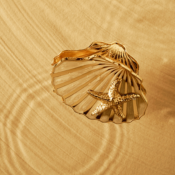 Muschel, Ring, Gold, Stern, Schmuck