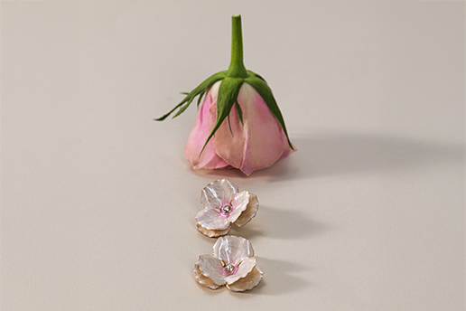 rose, pink rose, flower, petals, bud, rose, pink rose, blume, blüten, blätterslos
