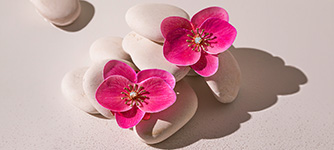 Blume, Orchidee, Pink, Steine, Dekor, pink flowers, orchid, flower arrangement, decorative stones, pink bloom