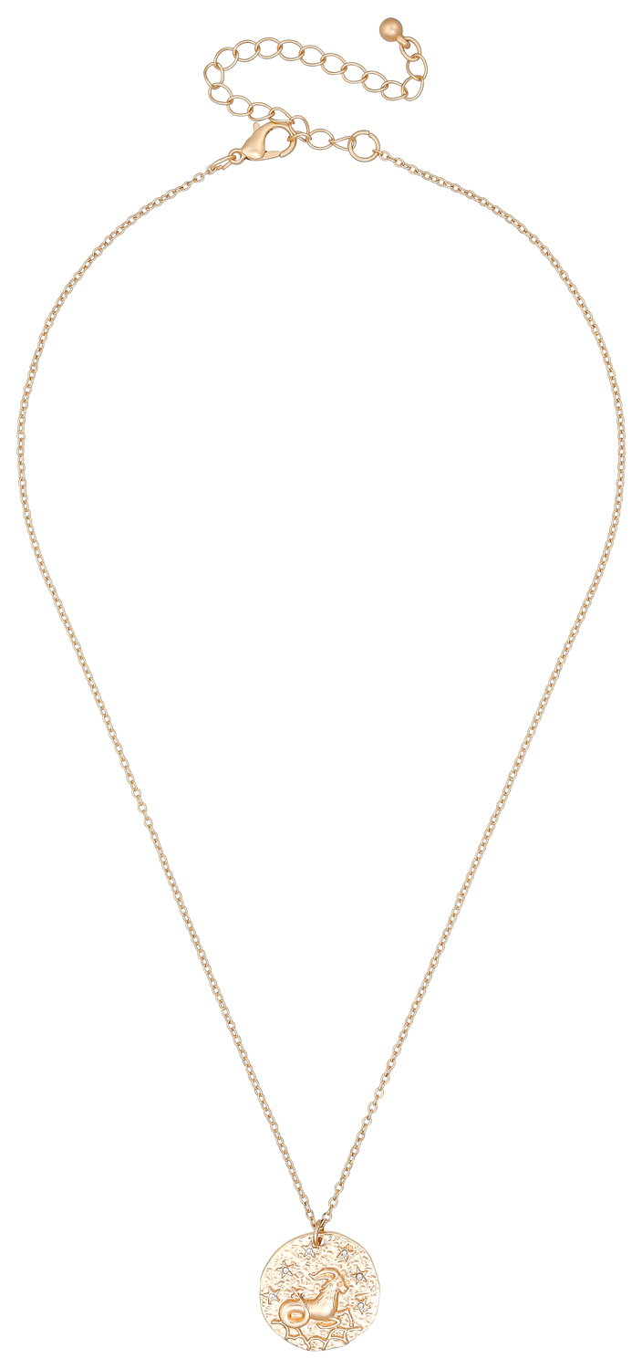Ketting - Shiny Capricorn Ketting - Shiny Capricorn