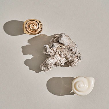 Leben im Meer, Muschel, Zubehör, Ohrring, Schmuck