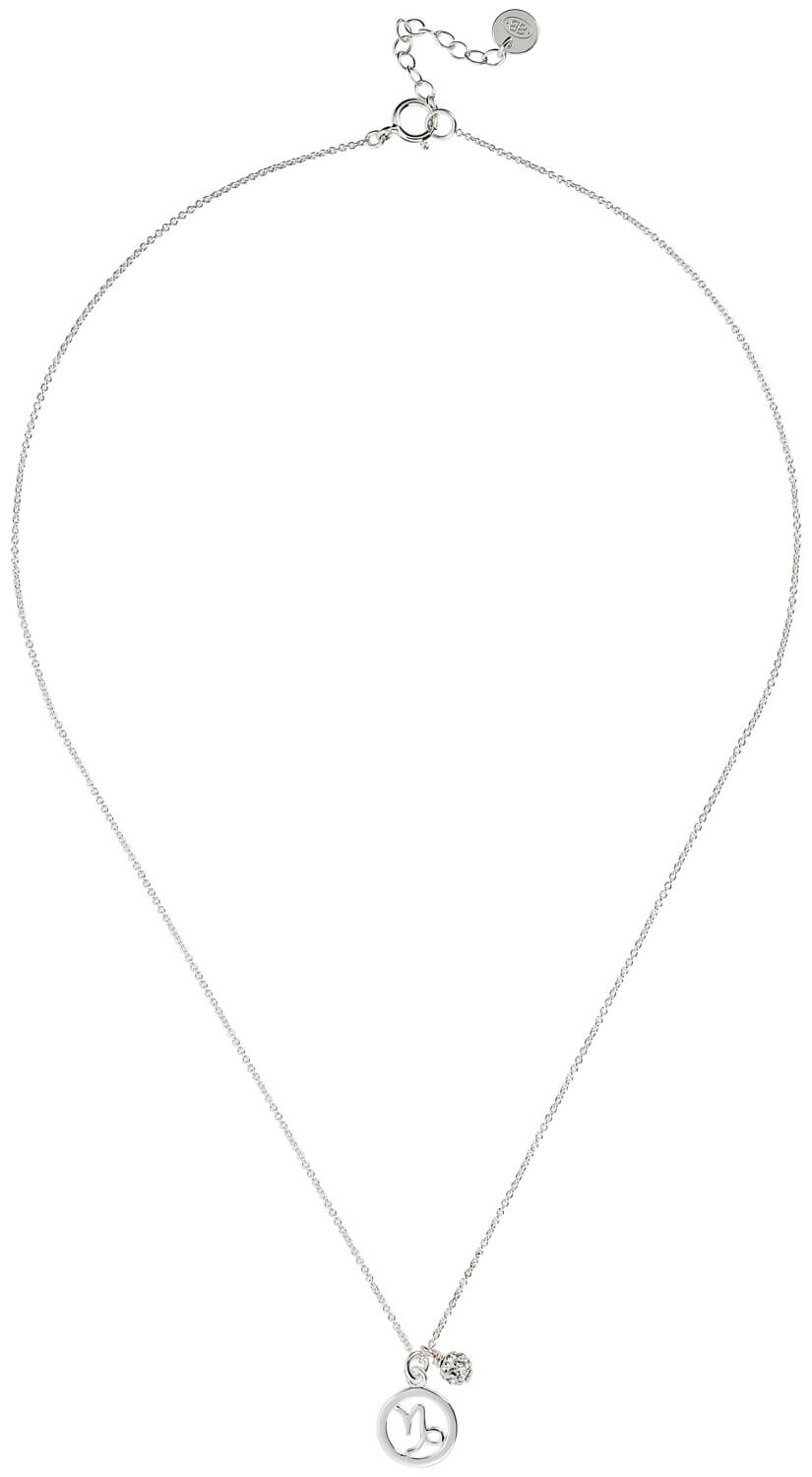 Ketting - Sterrenbeeld Steenbok